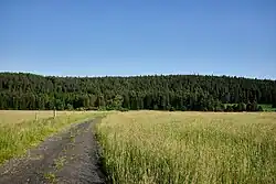 Pohled na hřbet Vlčku od Pramenů