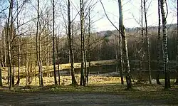 Pohled na Vlčí jezero od severu.