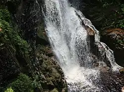 Kamieńczyk vlévající se do soutěsky