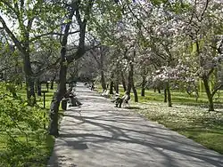 Vojanovy sady na jaře