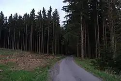 Les a vojenská silnice ve Vojenském újezdu Březina