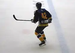 Vojtěch Kubinčák v dresu HC Verva Litvínov (2011)