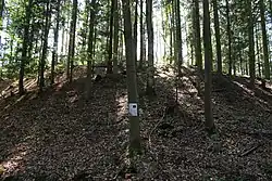 Voltýřov - okres Příbram (003).jpg