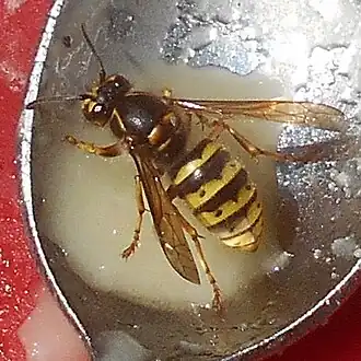 alternativní popis obrázku chybí