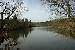 Součástí PP je i Velký rybník u Voznice