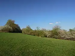 Přírodní památka Vršky – Díly