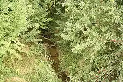 Vranínský potok jižně od Litohoře