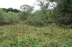 Pohled na místo zaniklé obce