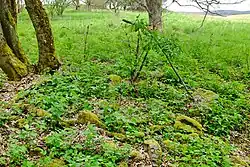 pohled na místo zaniklého kostela svatého Jakuba