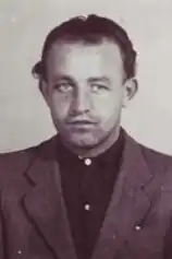 Vratislav Polesný (1949)