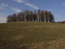 Vratislavice nad Nisou - Šance (2).JPG