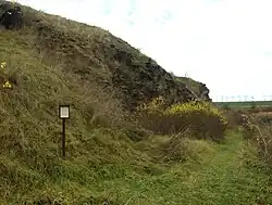 Stráně u splavu, skála