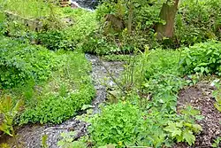 Na soutoku s Boreckým potokem ve Vykmanově