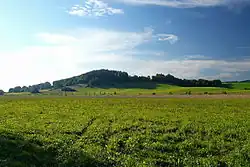 Vrch Doubrava od Mlýnice (Olešnice)