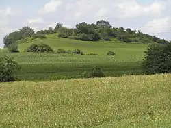 Vrch Hrobka (487 metrů)