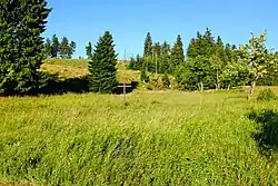Vrch Nad Ryžovnou 1047 m