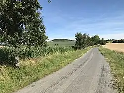 Pohled na vrch od Bohušova