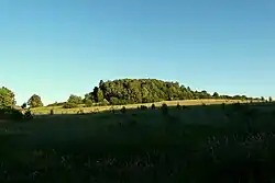 Vrchol Puchavec od severozápadu