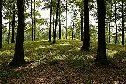 Vrchol Ostré hůrky