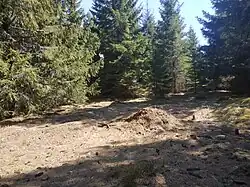 Vrchol Pytláckých kamenů