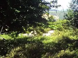 Vrchol Suchého vrchu