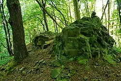 Vrcholový vulkanit Uhelného vrchu