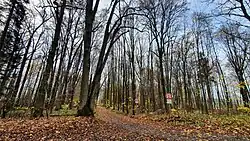 PP Letohradská bažantnice v listopadu 2022