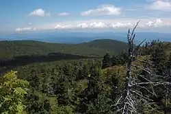 Výhled z Vtáčnika