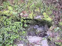 Vyústění průduchu