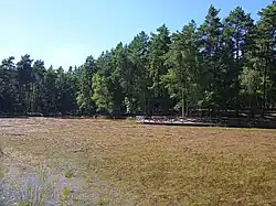 Pohled na rybník z jihovýchodu