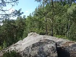 Vyhlídka na Bezděz