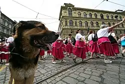 Sokolky pod kontrolou, 2012