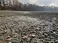 Vyschlé dno rybníka Kačírek