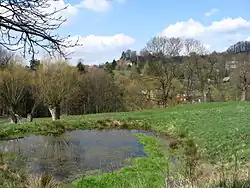 Přírodní památka Hofberg