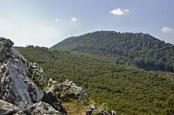 Vysoká od Taricových skal (620 m)
