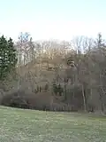 Vyvýšenina bývalého hradiště Cimburk.JPG