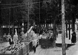 Užití vrhačů vzdušných torpéd na západní frontě