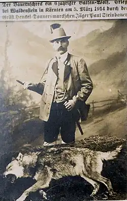 Korutany (Wolfsberg), ulovený balkánský vlk na panství rodu Henckel von Donnersmarck (1914)