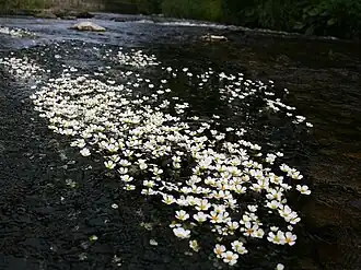 alternativní popis obrázku chybí