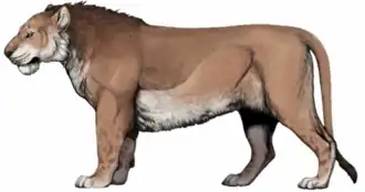 alternativní popis obrázku chybí