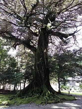 alternativní popis obrázku chybí