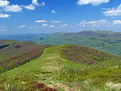 Bieszczady