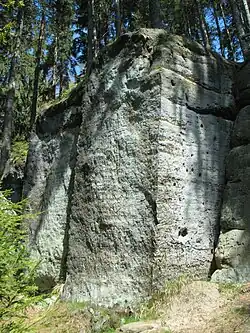 Valdštejnská skála na jihozápadním úbočí Bučiny v Lužických horách. Uprostřed nejvyššího bloku je patrný kříž