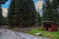 Cesta v Sebnitzském lese