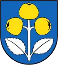 Schattdorf – znak