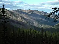 Údolí potoka War Creek v divočině Chelan-Sawtooth.