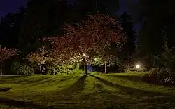 Panorama Washington Parku, 30 sekundová expozice