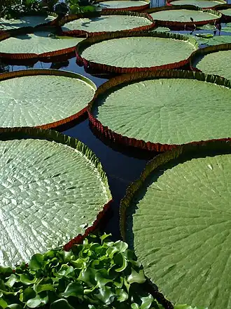 alternativní popis obrázku chybí