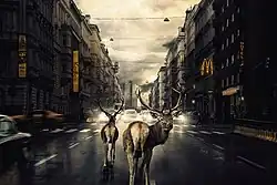 We Found Shelter, Martin Stranka, 2017