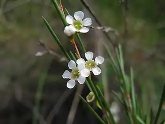 alternativní popis obrázku chybí